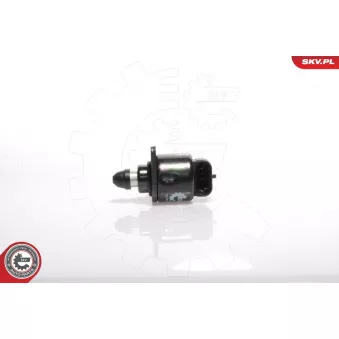 Controle de ralenti, alimentation en air ESEN SKV