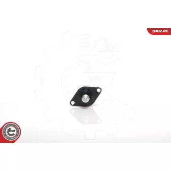 Controle de ralenti, alimentation en air ESEN SKV 08SKV020