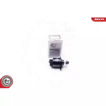 Controle de ralenti, alimentation en air ESEN SKV 08SKV024