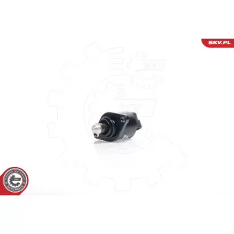 Controle de ralenti, alimentation en air ESEN SKV 08SKV029