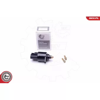 Controle de ralenti, alimentation en air ESEN SKV 08SKV048