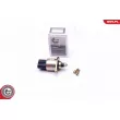 Controle de ralenti, alimentation en air ESEN SKV 08SKV050 - Visuel 1