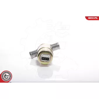 Controle de ralenti, alimentation en air ESEN SKV 08SKV207
