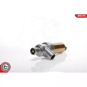 Controle de ralenti, alimentation en air ESEN SKV 08SKV211