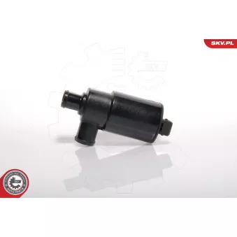 Controle de ralenti, alimentation en air ESEN SKV 08SKV213