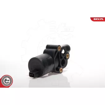 Controle de ralenti, alimentation en air ESEN SKV 08SKV214