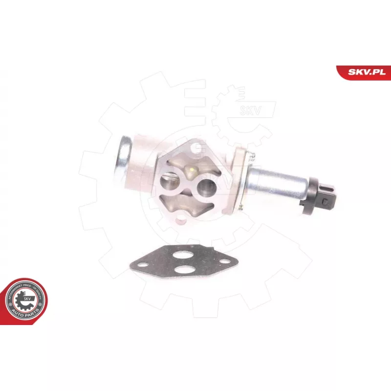 Controle de ralenti, alimentation en air ESEN SKV 08SKV220