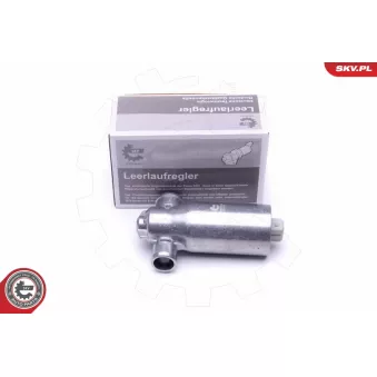 Controle de ralenti, alimentation en air ESEN SKV 08SKV238