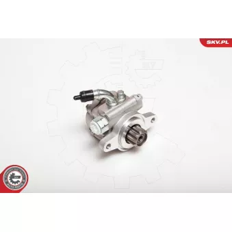 Pompe hydraulique, direction ESEN SKV