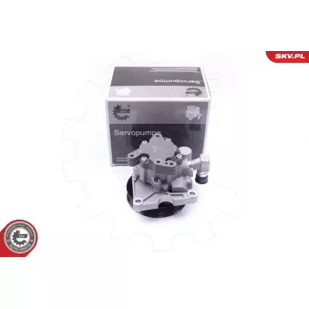 Pompe hydraulique, direction ESEN SKV