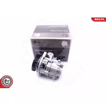 Pompe hydraulique, direction ESEN SKV 10SKV289