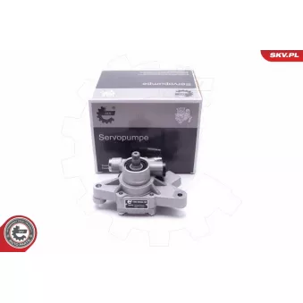 Pompe hydraulique, direction ESEN SKV