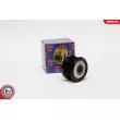 Poulie roue libre, alternateur ESEN SKV 11SKV016 - Visuel 1
