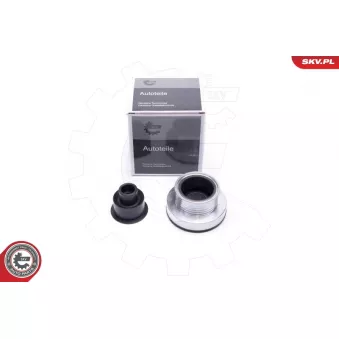 Poulie roue libre, alternateur ESEN SKV 11SKV045