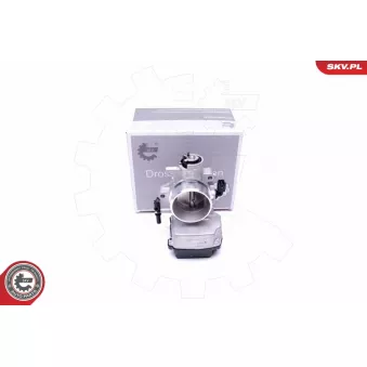 Corps papillon ESEN SKV 12SKV071