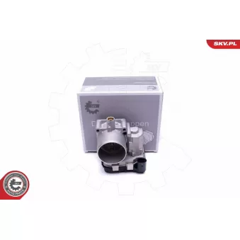 Corps papillon ESEN SKV 12SKV078