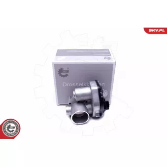 Corps papillon ESEN SKV