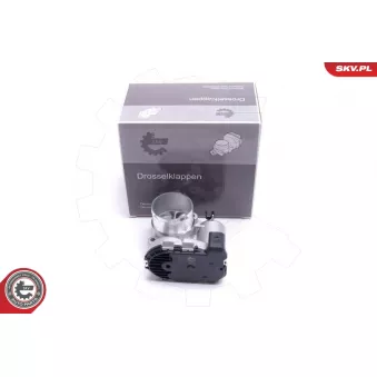 Corps papillon ESEN SKV 12SKV111