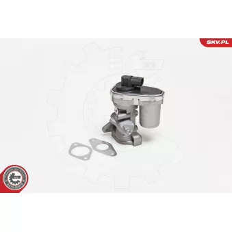 Vanne EGR ESEN SKV 14SKV038
