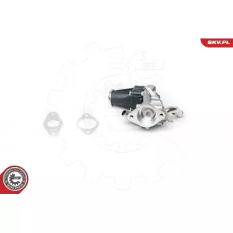 Vanne EGR ESEN SKV 14SKV100