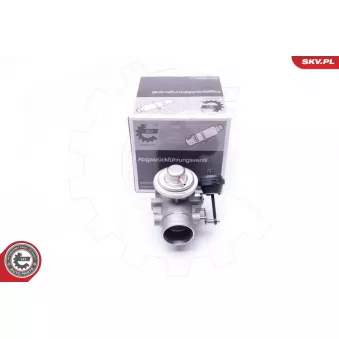 Vanne EGR ESEN SKV 14SKV107