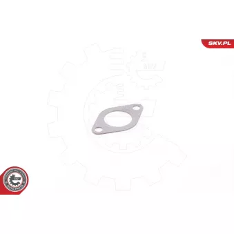 Joint, vanne EGR ESEN SKV