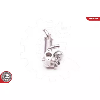 Vanne EGR ESEN SKV 14SKV119