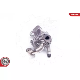 Module-EGR ESEN SKV 14SKV135
