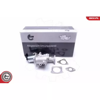 Vanne EGR ESEN SKV 14SKV167