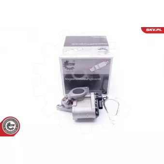 Vanne EGR ESEN SKV 14SKV168