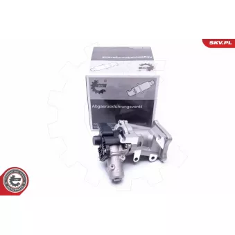 Vanne EGR ESEN SKV 14SKV171