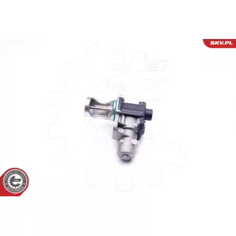 Vanne EGR ESEN SKV 14SKV172