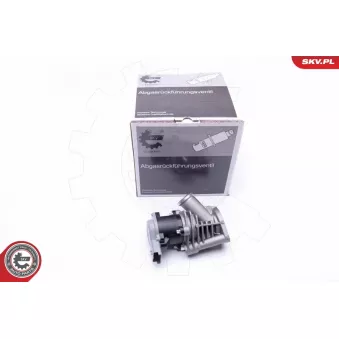 Vanne EGR ESEN SKV 14SKV173