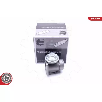 Vanne EGR ESEN SKV 14SKV174