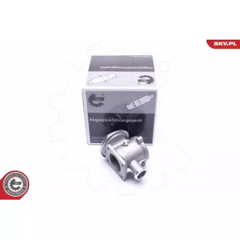 Vanne EGR ESEN SKV 14SKV178