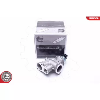 Vanne EGR ESEN SKV 14SKV181