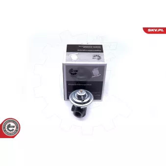 Vanne EGR ESEN SKV 14SKV187