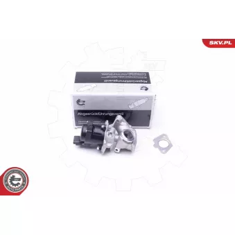 Vanne EGR ESEN SKV 14SKV202