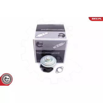 Vanne EGR ESEN SKV 14SKV203