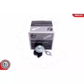 Vanne EGR ESEN SKV 14SKV205