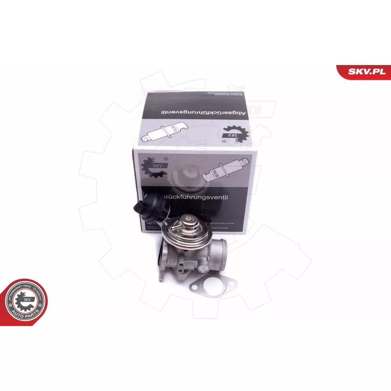 Vanne EGR ESEN SKV 14SKV206
