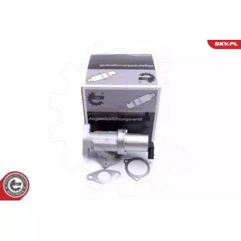 Vanne EGR ESEN SKV 14SKV209