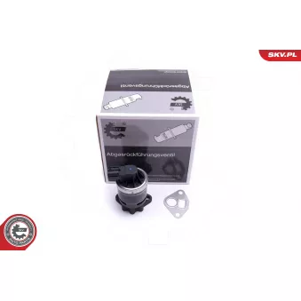 Vanne EGR ESEN SKV 14SKV210