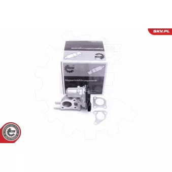 Vanne EGR ESEN SKV 14SKV215