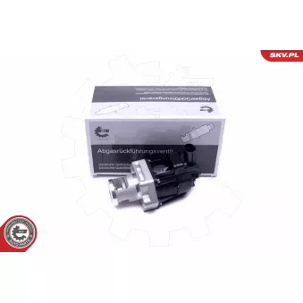Vanne EGR ESEN SKV 14SKV217