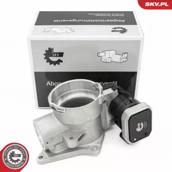 Vanne EGR ESEN SKV 14SKV279