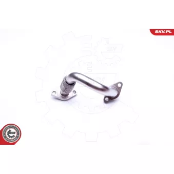 Tuyauterie, vanne EGR ESEN SKV