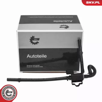 Détendeur de suralimentation ESEN SKV 14SKV914