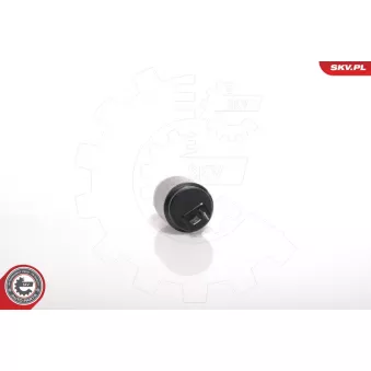 Pompe d'eau de nettoyage, nettoyage des vitres ESEN SKV 15SKV002