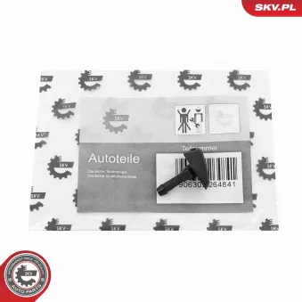 Gicleur d'eau de nettoyage, nettoyage des vitres ESEN SKV 15SKV203